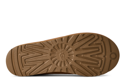Men's Tasman II Slipper