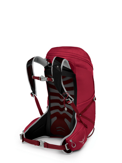 Talon 26 Hiking Backpack