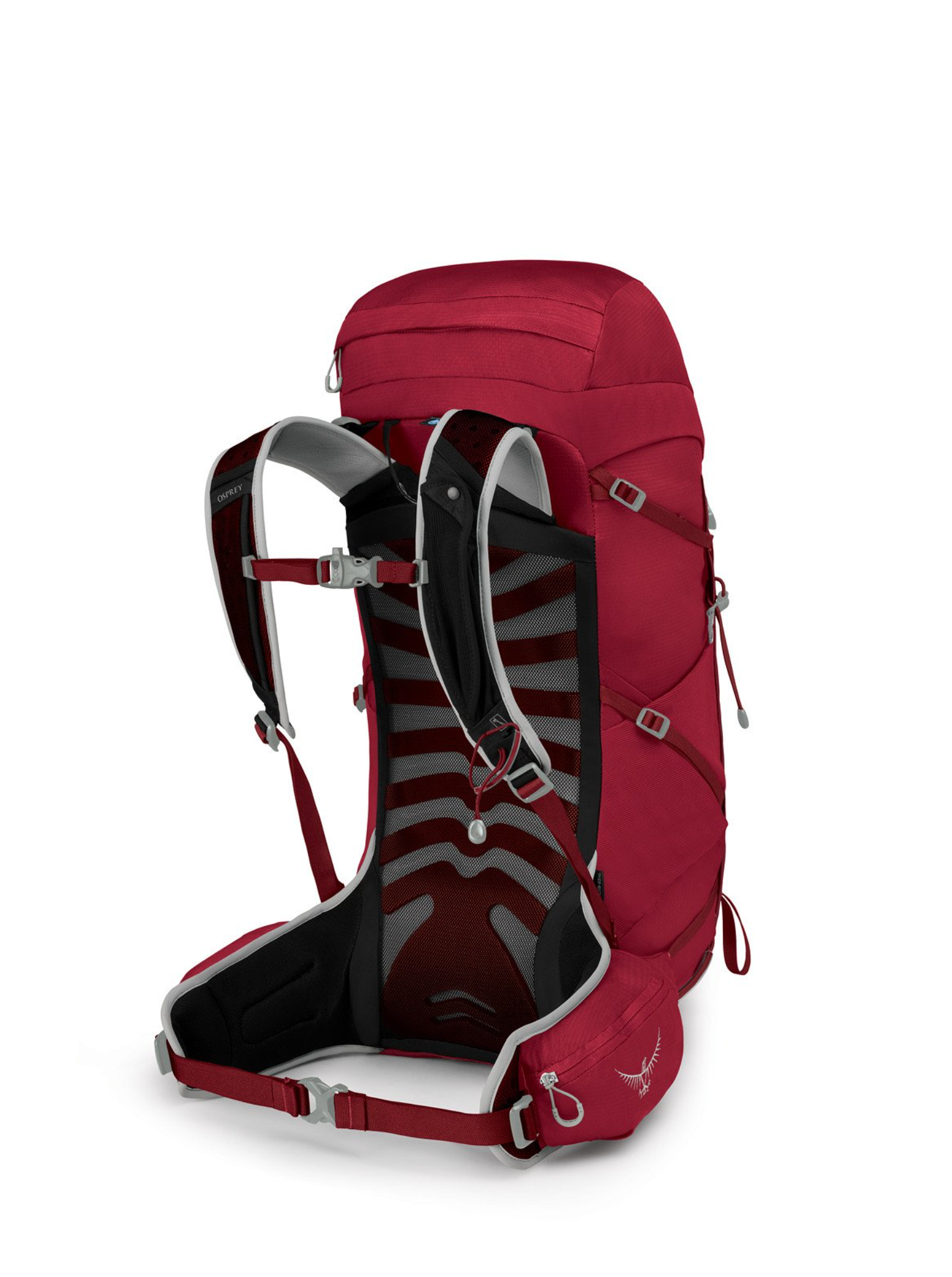Osprey talon 33 blue hotsell
