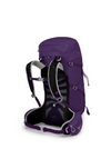 Tempest 30 Hiking Backpack