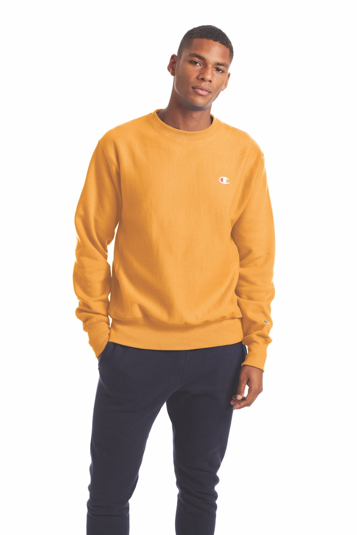 Champion Men's Crew Neck Reverse Weave Sweater