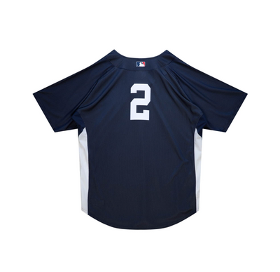 MLB BP Jersey New York Yankees 2009 Derek Jeter