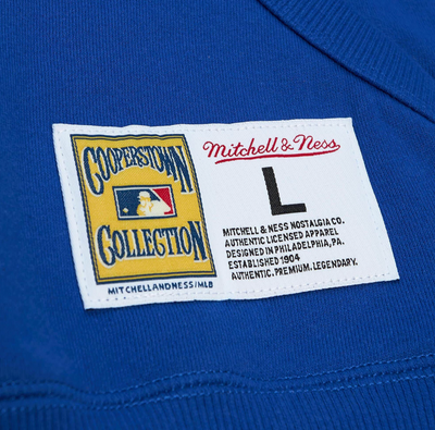 Los Angeles Dodgers MLB City Collection Fleece Hoodie