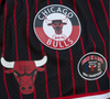 Chicago Bulls NBA City Collection Mesh Short