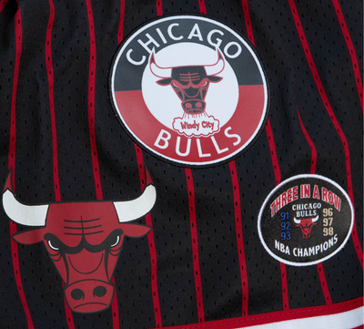 Chicago Bulls NBA City Collection Mesh Short