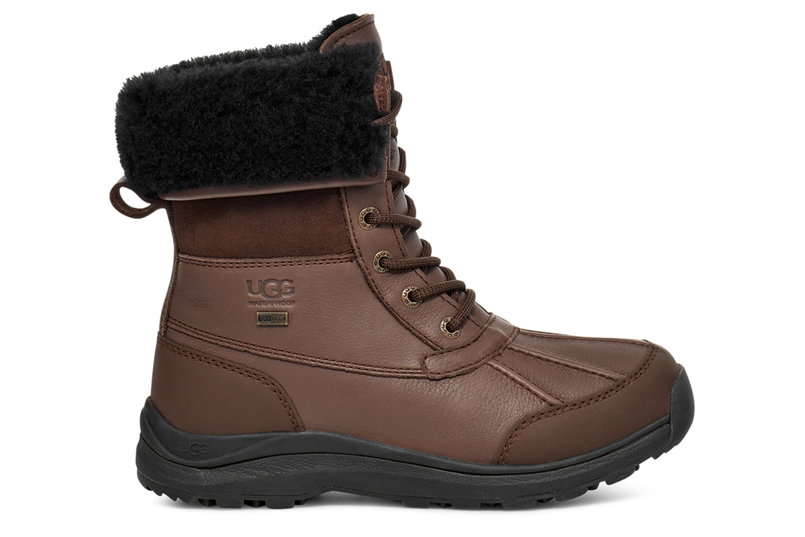 Women's Adirondack III Boot